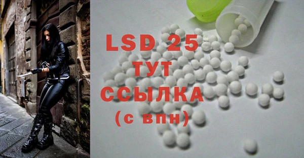 ПСИЛОЦИБИНОВЫЕ ГРИБЫ Абаза