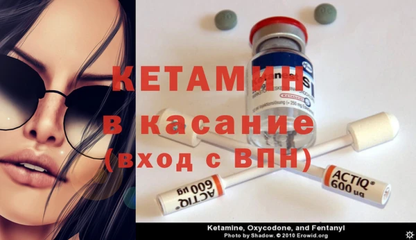ПСИЛОЦИБИНОВЫЕ ГРИБЫ Абаза
