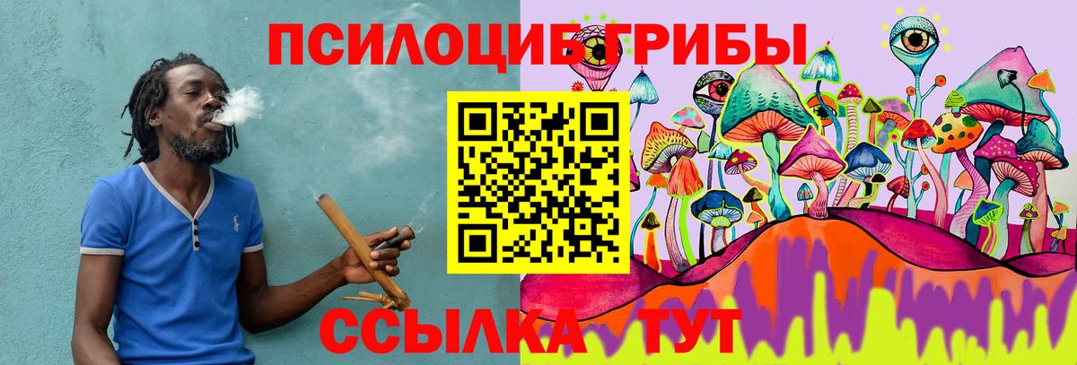 Галлюциногенные грибы Psilocybe  Вход с VPN  Красноперекопск 